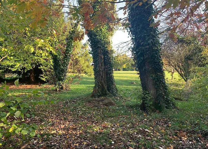 Maison La Bureliere - For Families, Groups, Couples * Gorron