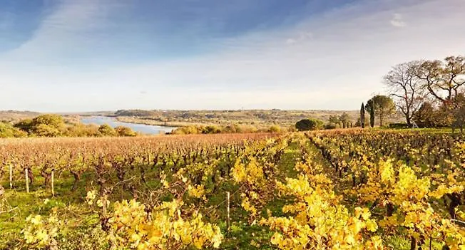 Maison La Bureliere - For Families, Groups, Couples Hébergement de vacances *